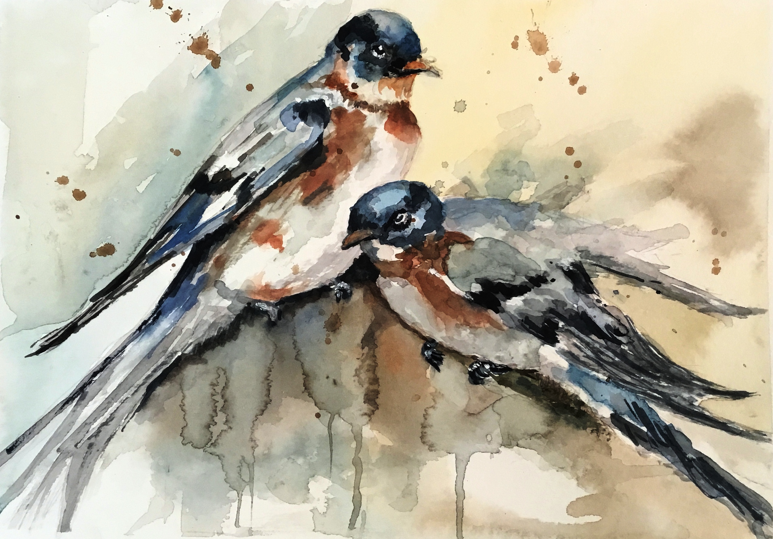 Two Swallows by Micky