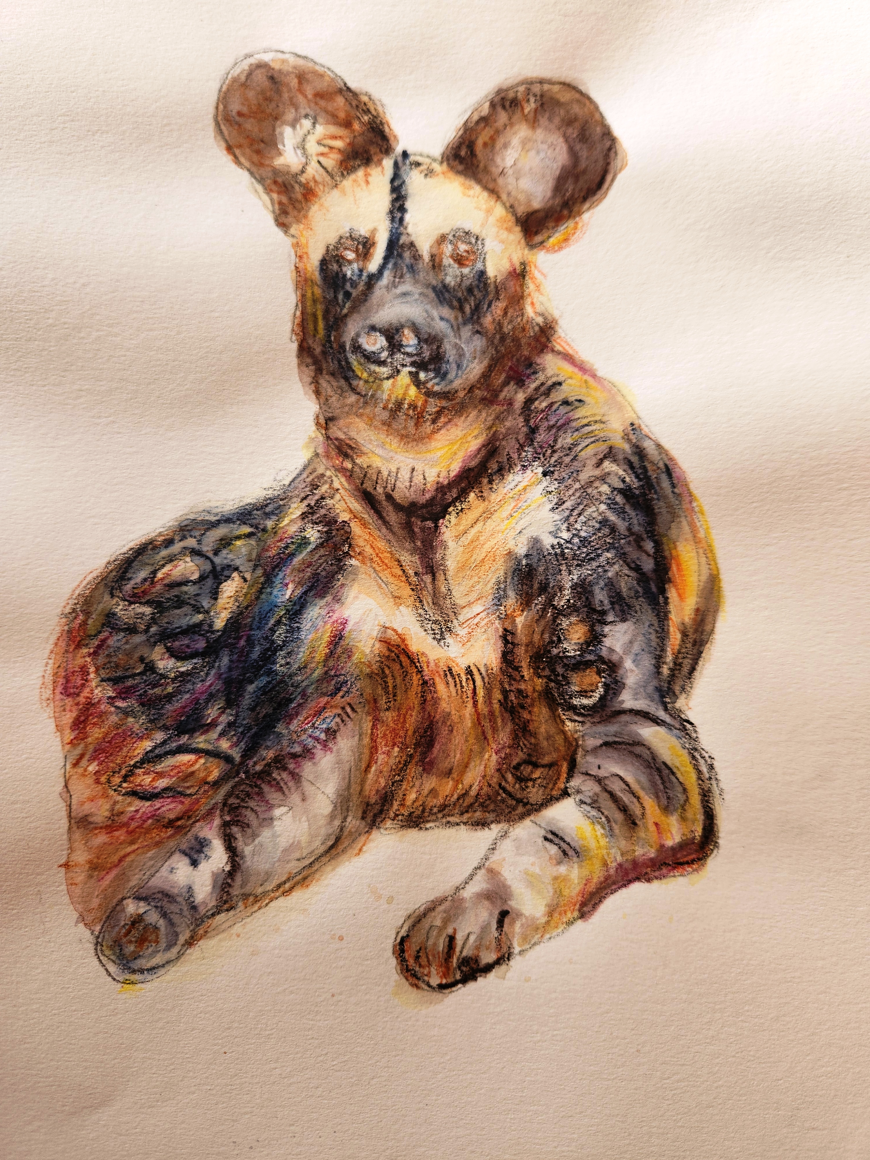 African Dog by Linda