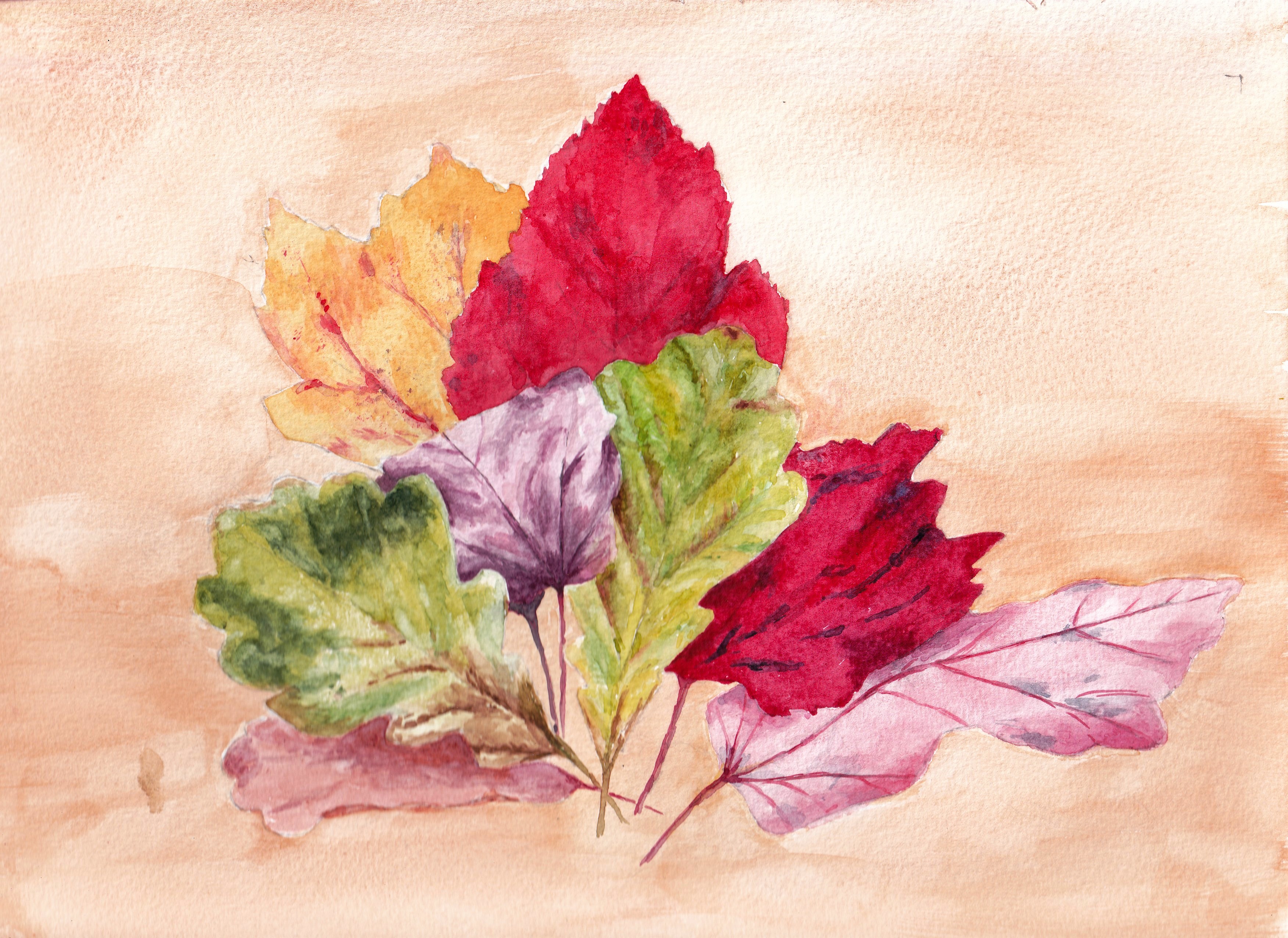 Autumn Leaves by Graham