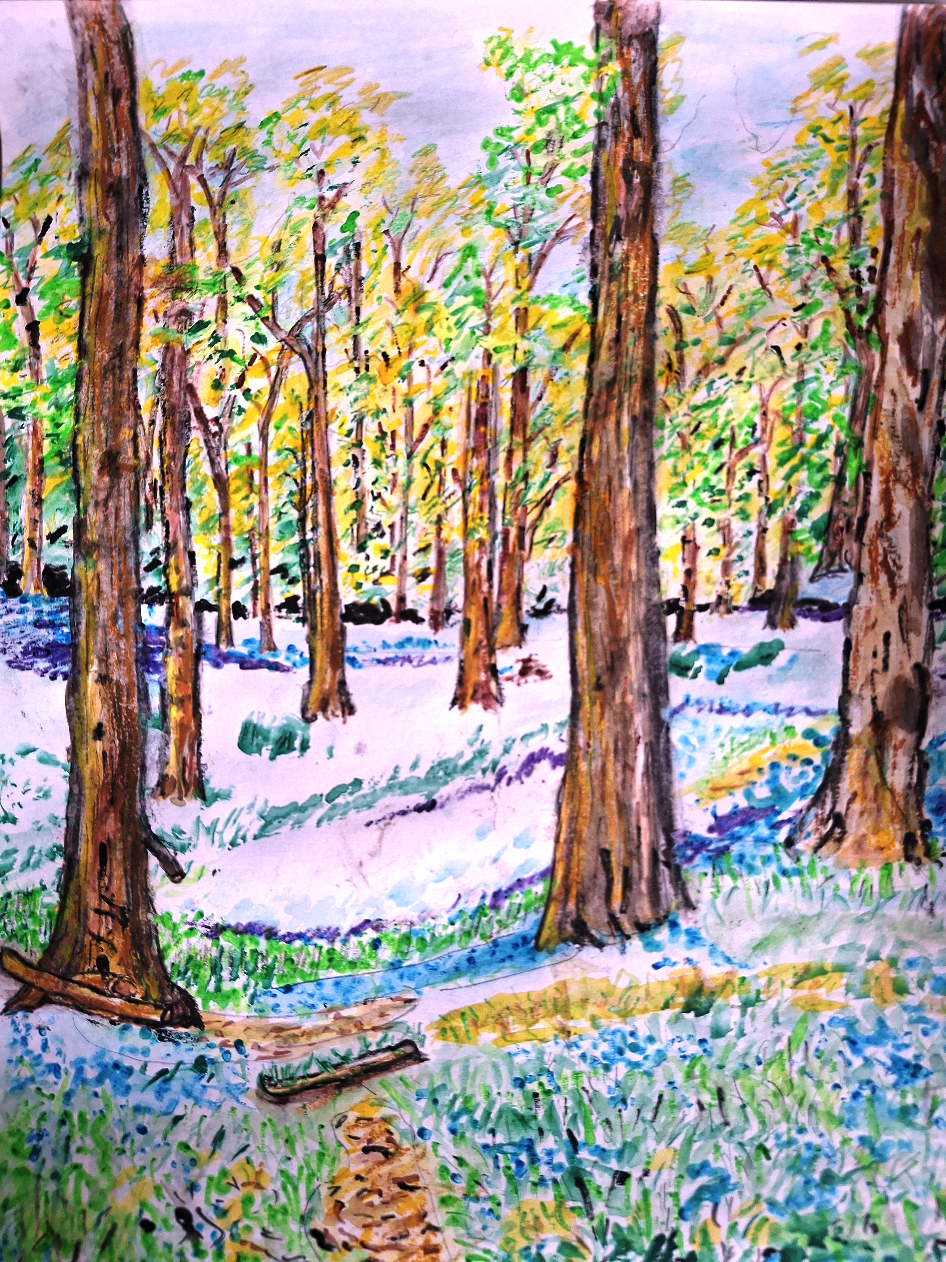 Bluebells By Bernard