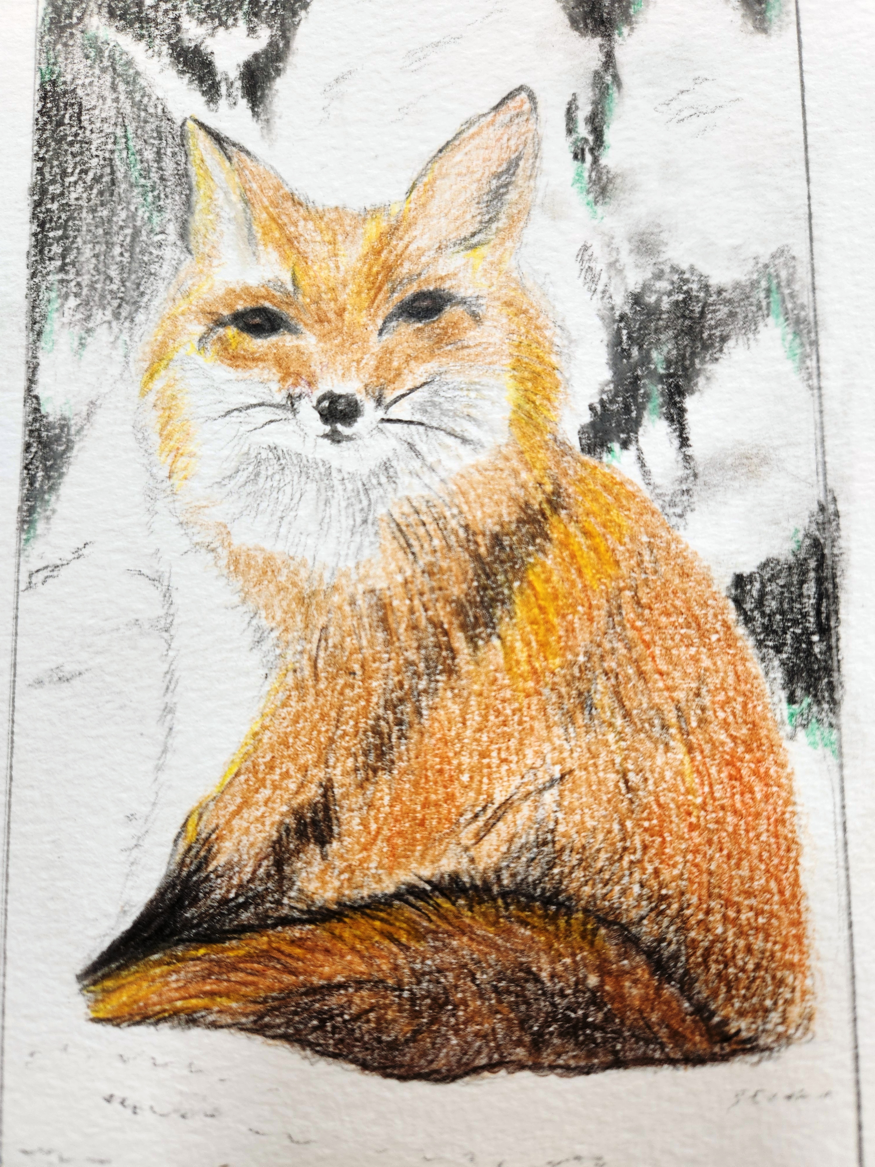 Fox by Sujatha