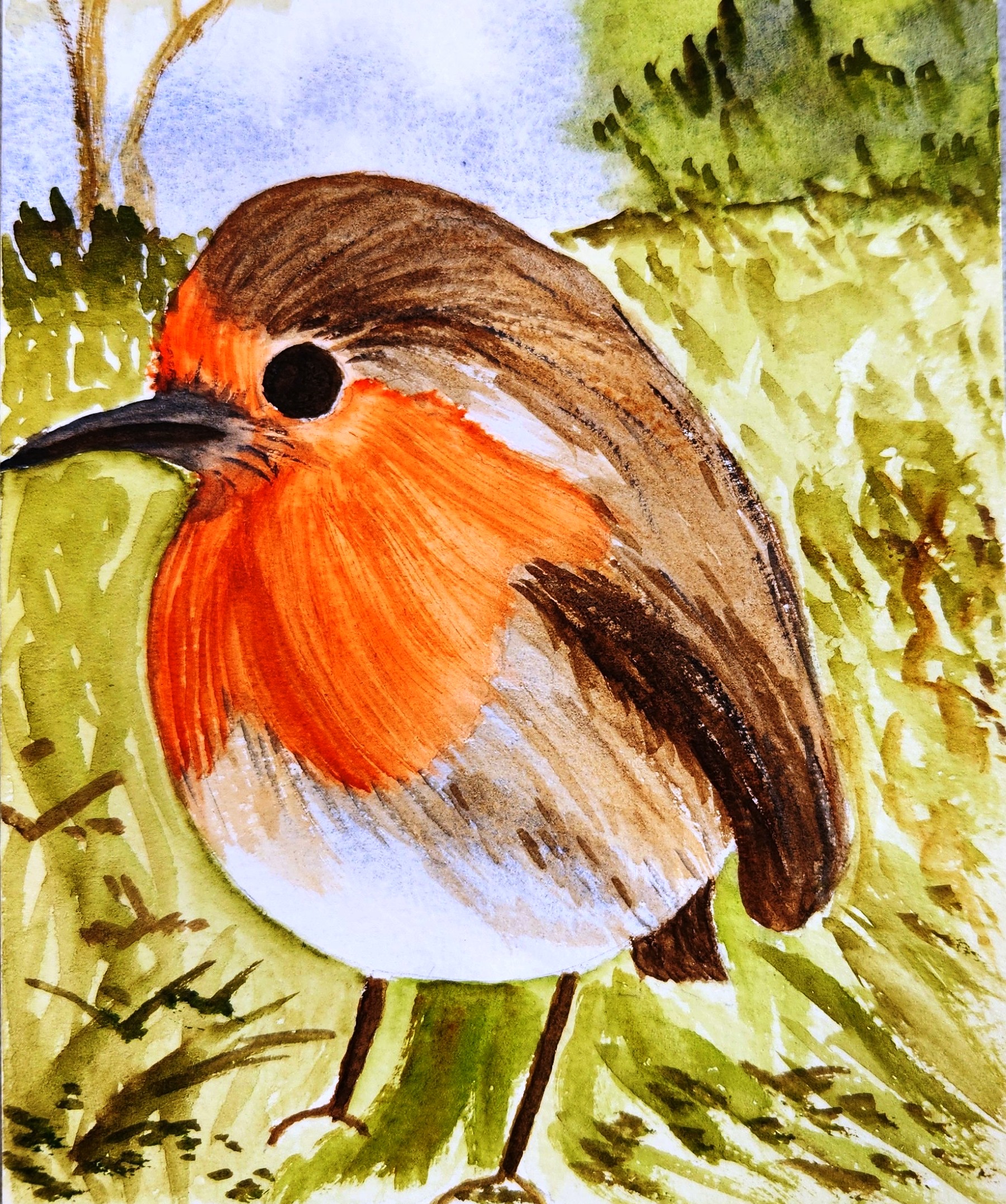 Happy Robin by Sujatha