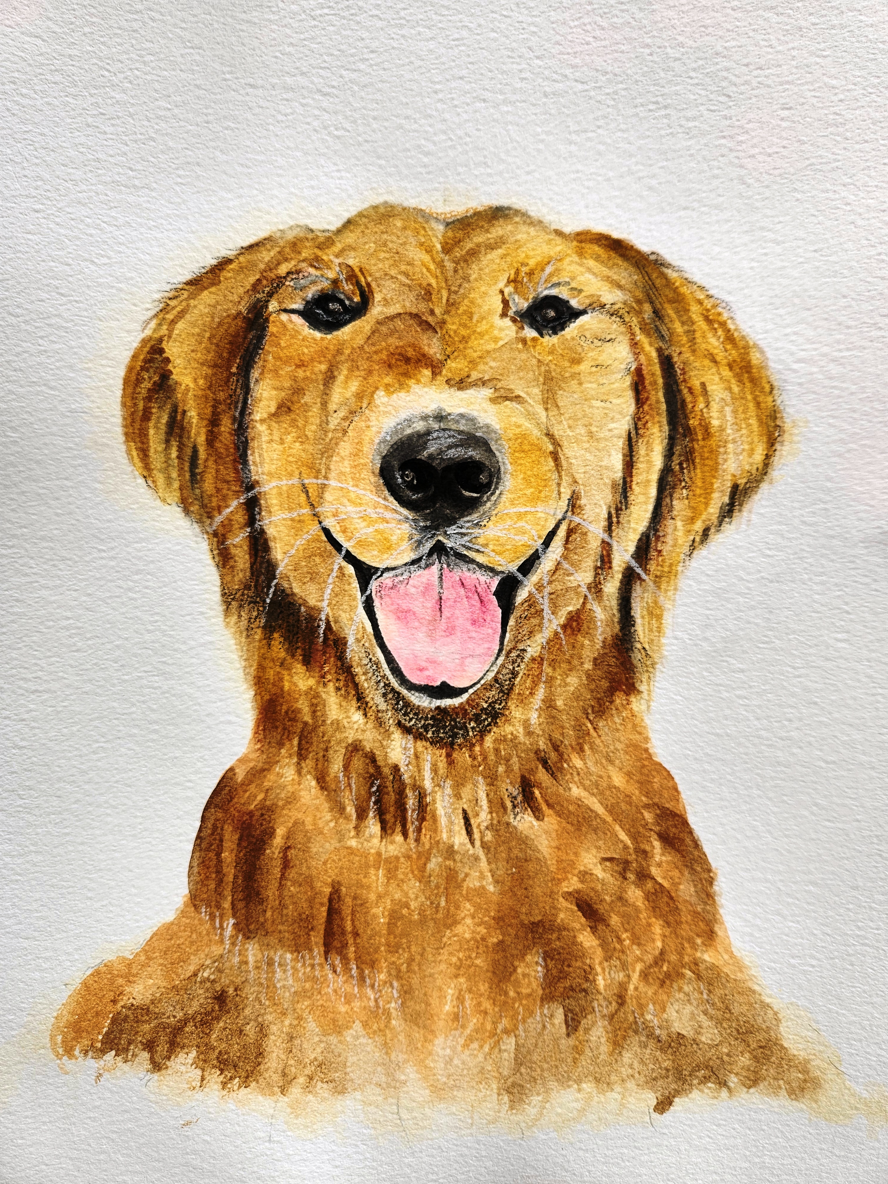 Portrait of a Dog by Sujatha