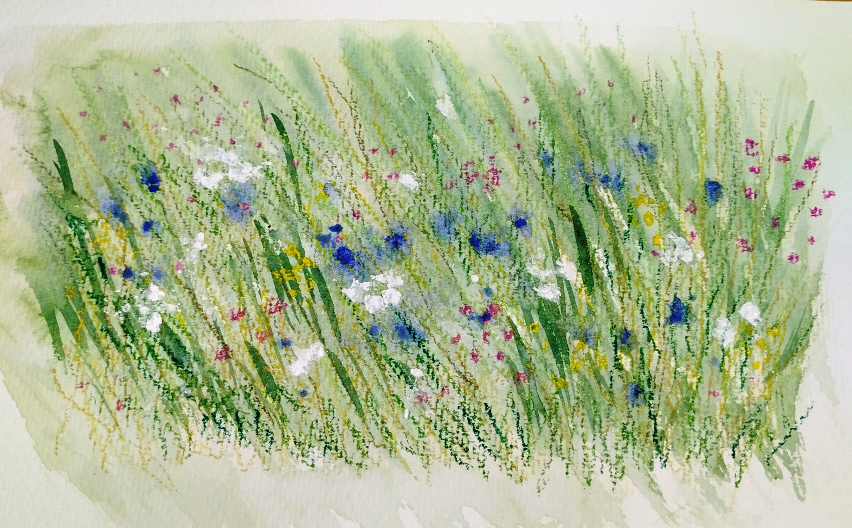 Wildflower Field by Helen