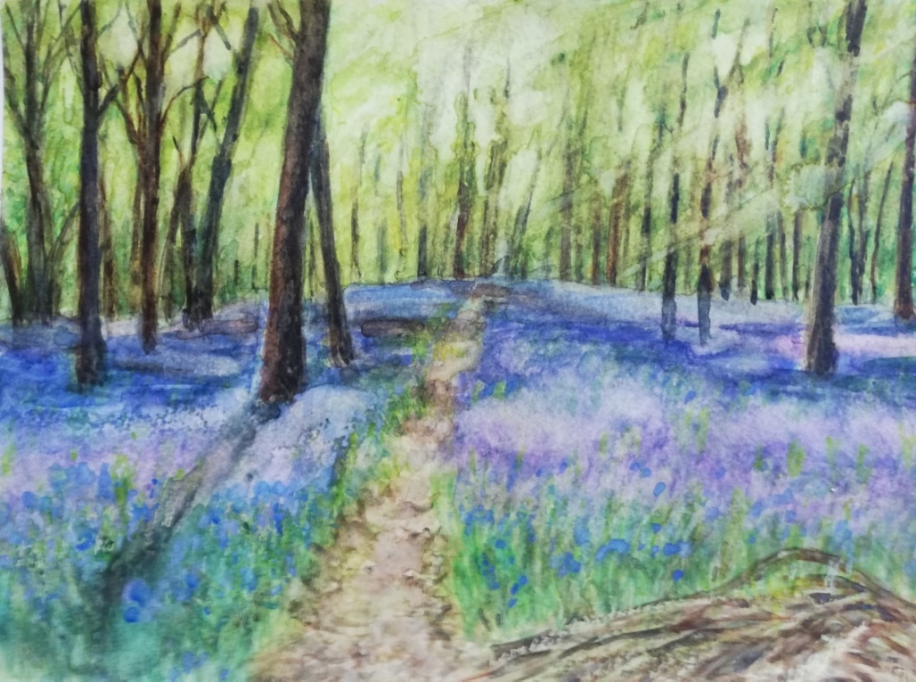 Bluebells in Dockey Wood By Linda
