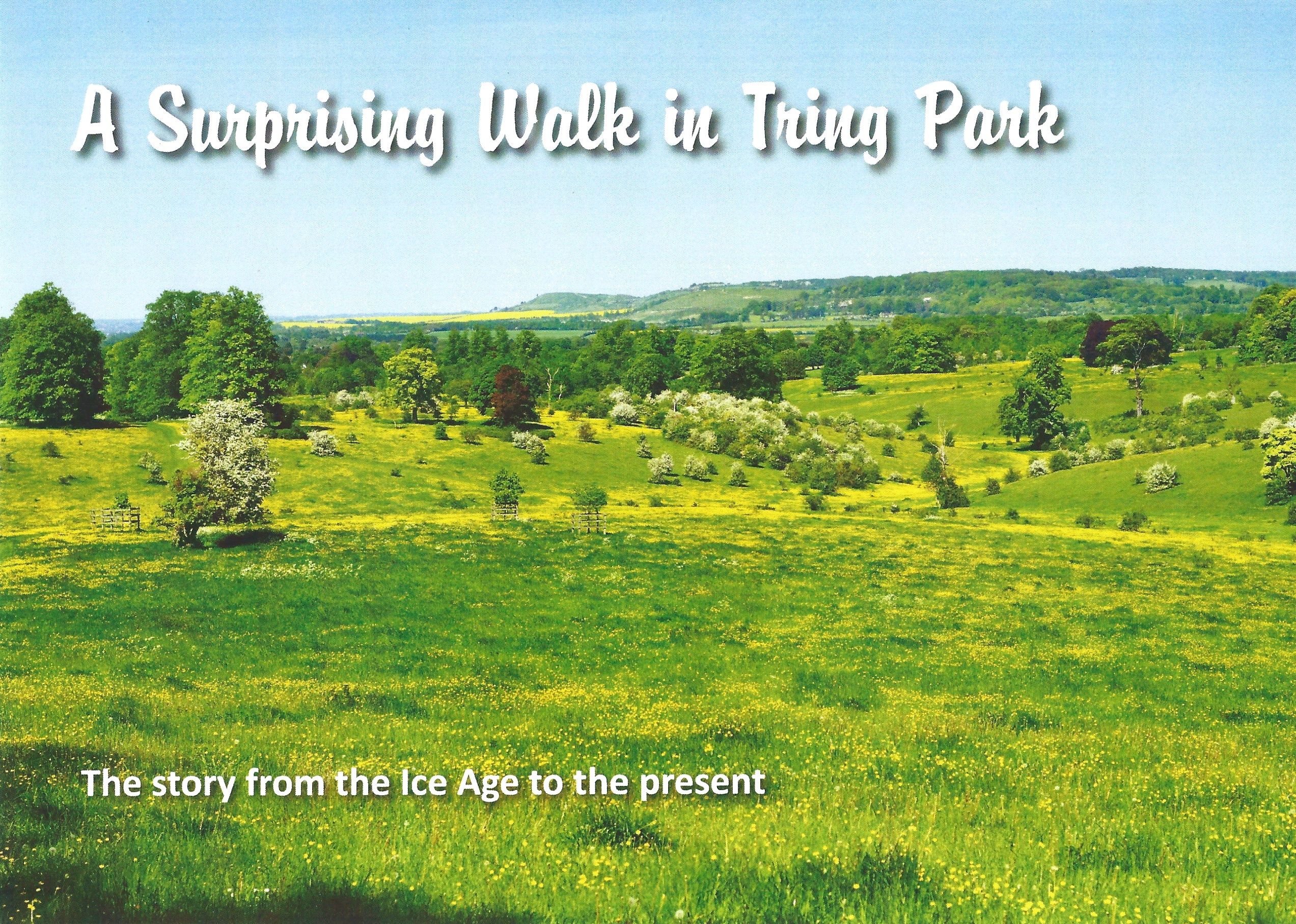 A Surprising Walk Through Tring Park by Shelley Savage - £3.50
