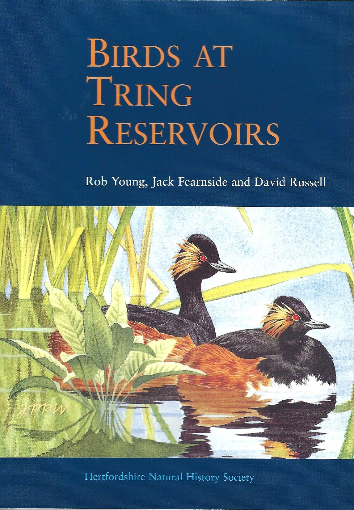Birds-at-Tring-Reservoirs