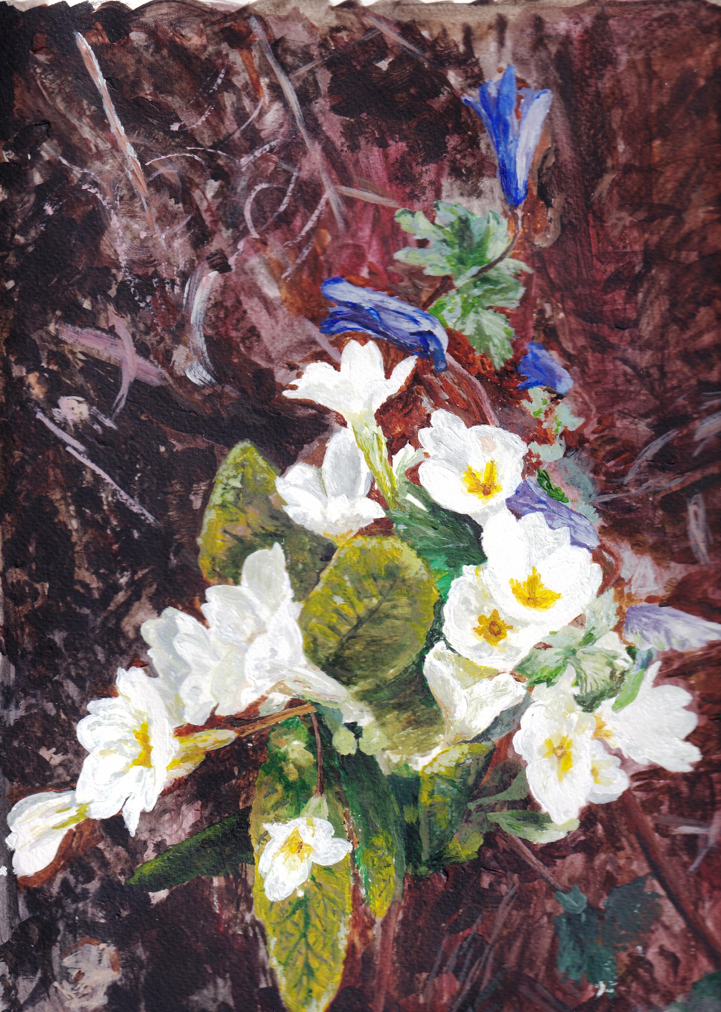 Flowers by Graham