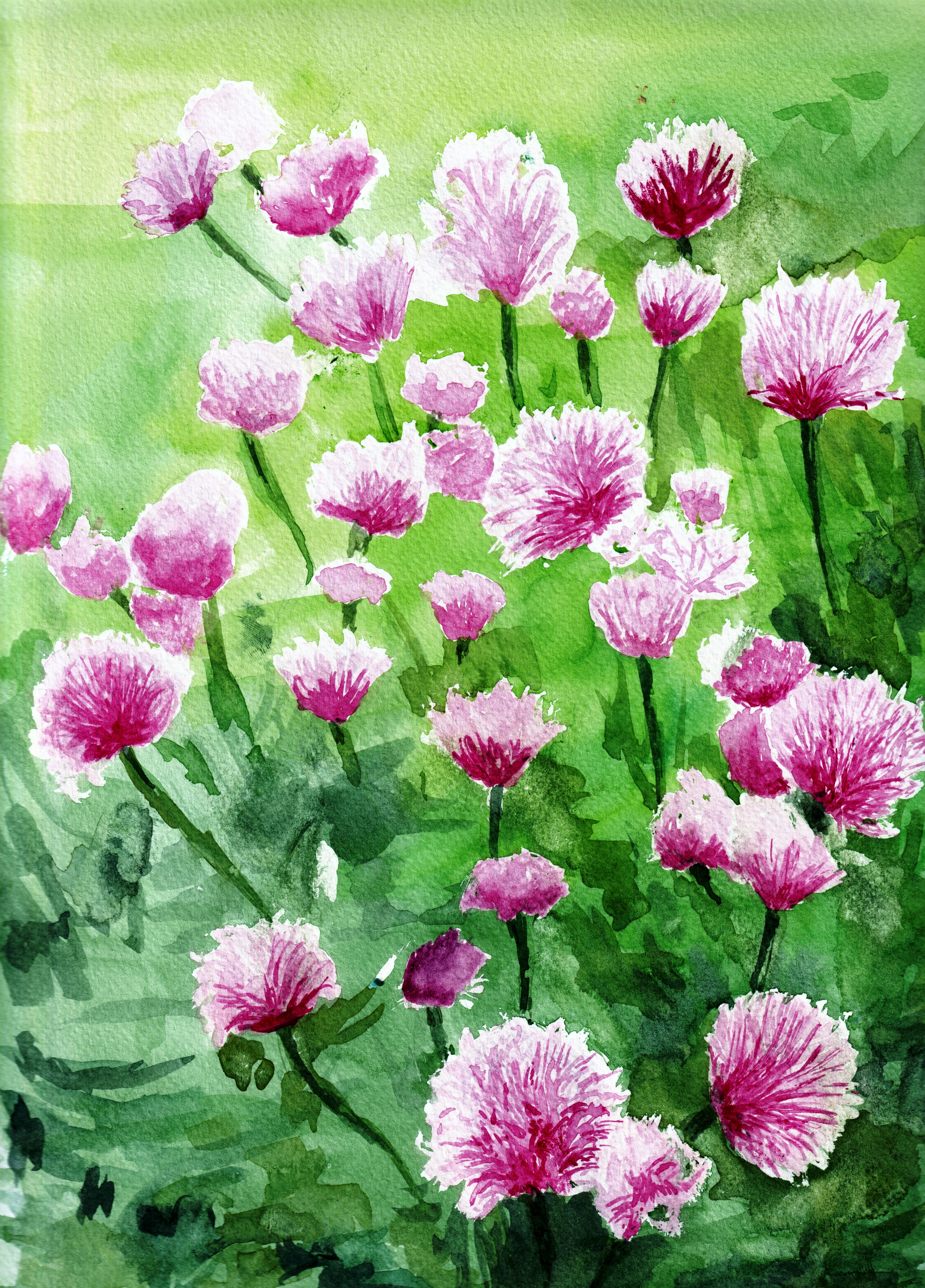 Meadow Flowers by Graham