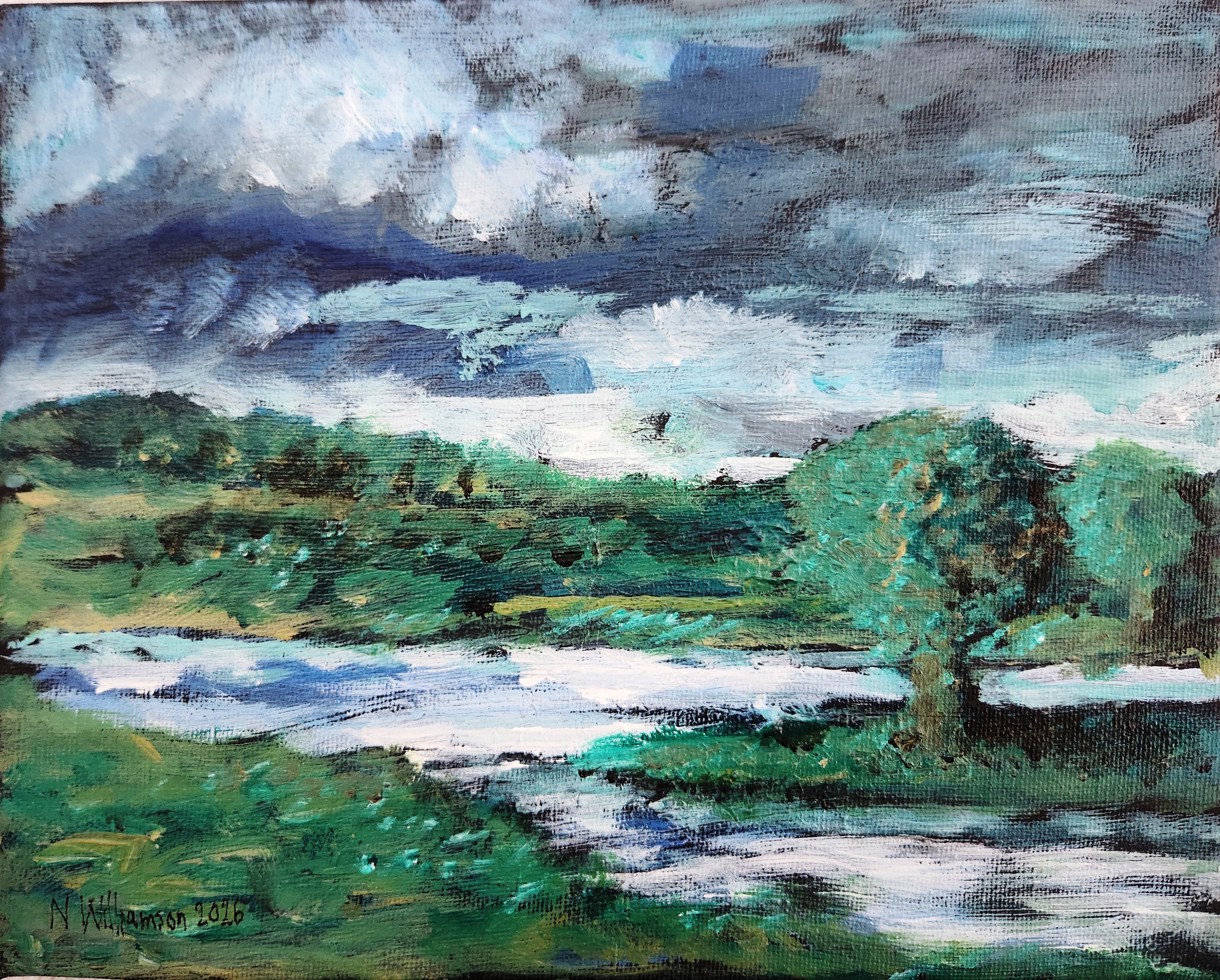 Salmon Stream by Neil
