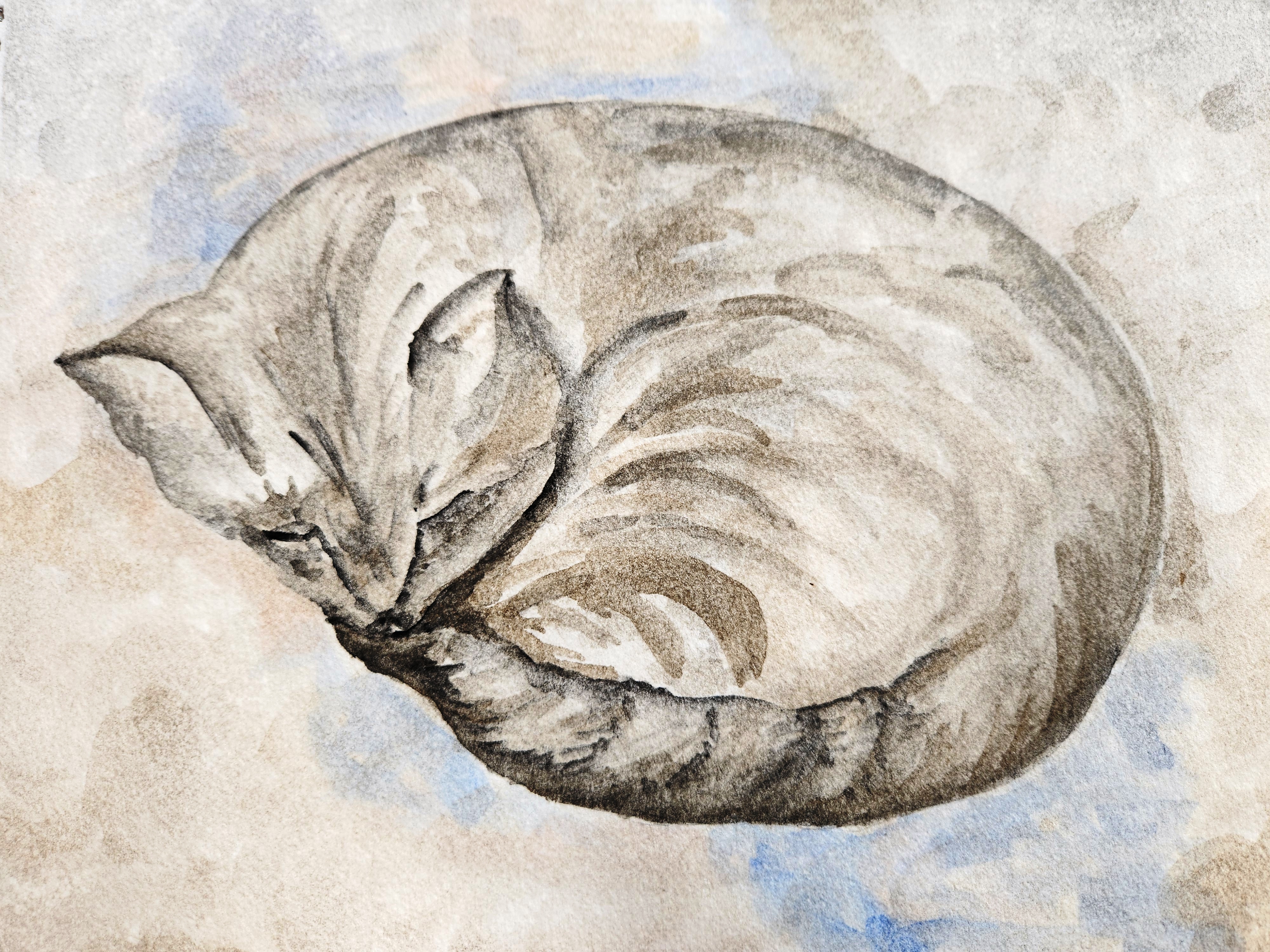 Sleeping Cat by Sujatha